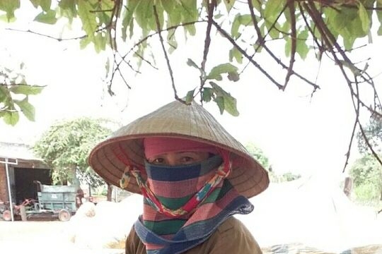 Big C Việt Nam và Central Group Việt Nam thu mua hàng chục tấn bí đỏ hỗ trợ nông dân Đắk Lắk